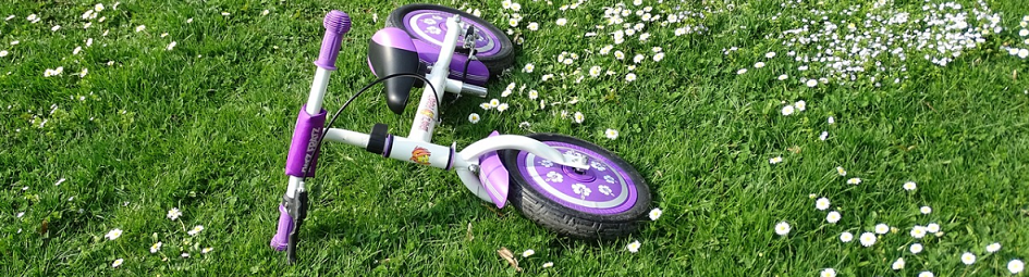 purple balance bike in the grass field