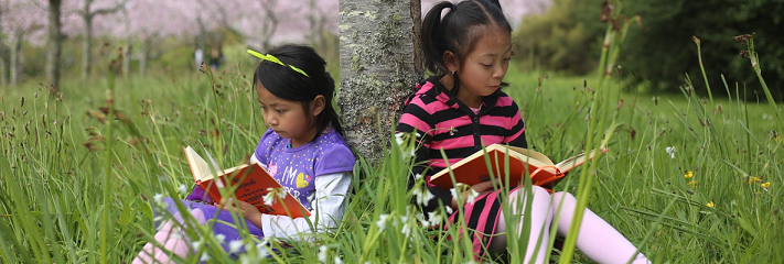 two girls studying under the three