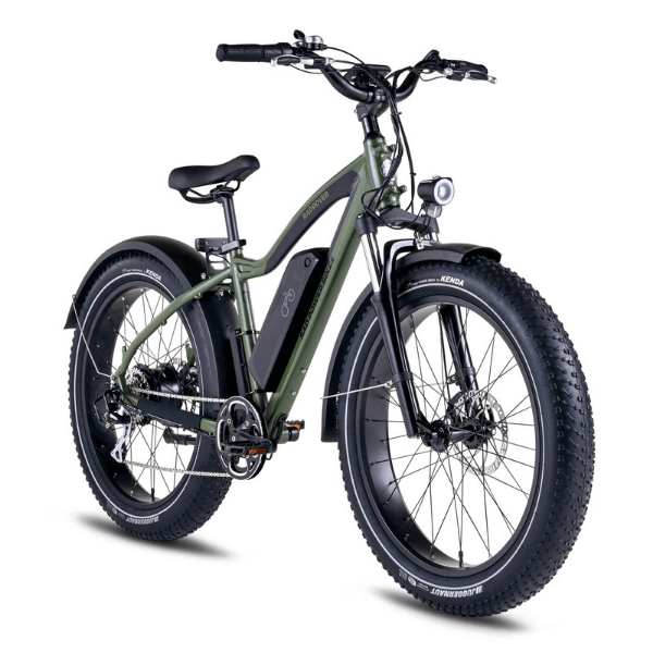 best fat tire ebike 2020