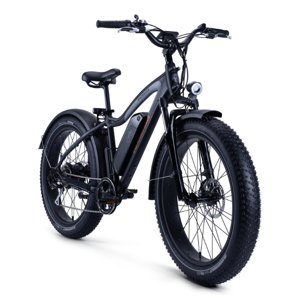 best fat tire ebike 2020