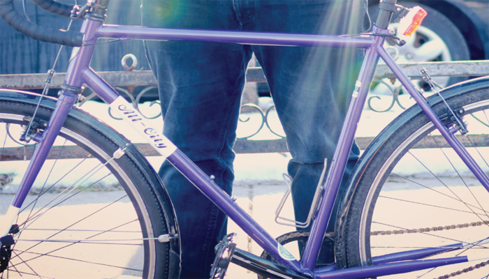 bike fenders 700c