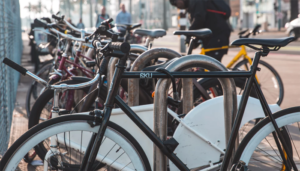 Bike trunk racks