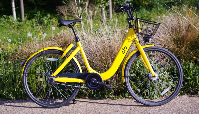 best entry road bikes 2019