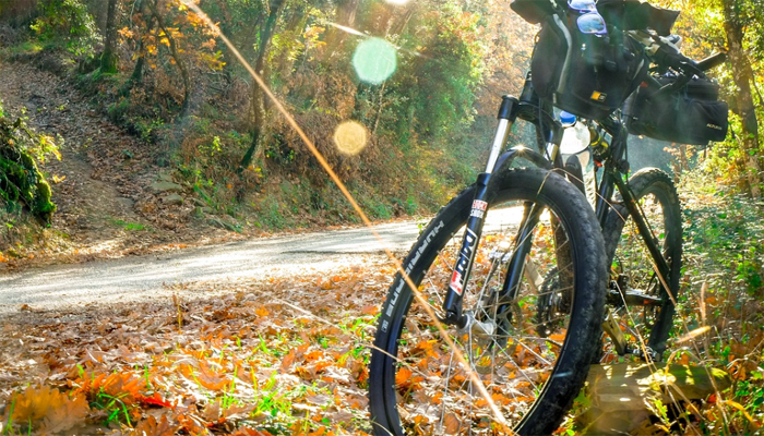 best bicycle under 200