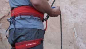 Black diamond momentum harness