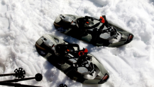 Pair of snowshoe